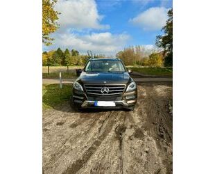 Mercedes-Benz 350 Gebrauchtwagen