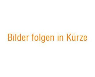 Renault Arkana Gebrauchtwagen
