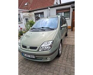 Renault Scenic Gebrauchtwagen
