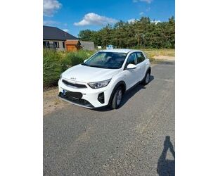 Kia Stonic Gebrauchtwagen