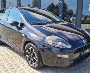 Fiat Punto Gebrauchtwagen
