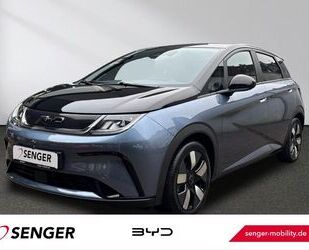 BYD DOLPHIN Gebrauchtwagen