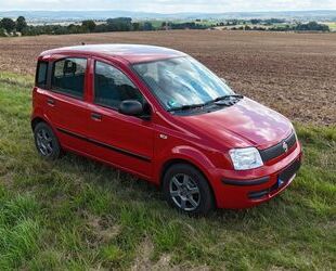 Fiat Panda Gebrauchtwagen