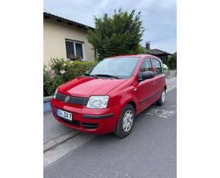 Fiat Panda Gebrauchtwagen