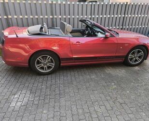 Ford Mustang Gebrauchtwagen