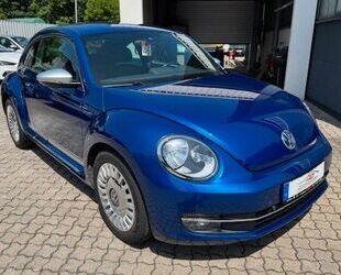 VW Beetle Gebrauchtwagen