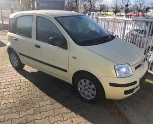 Fiat Panda Gebrauchtwagen