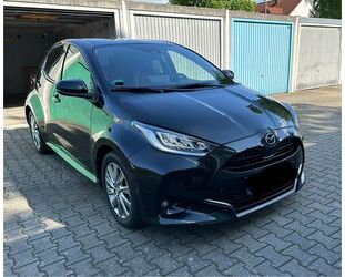 Mazda 2 Hybrid Gebrauchtwagen