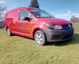 VW Caddy Maxi Gebrauchtwagen