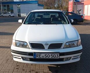 Nissan Maxima Gebrauchtwagen