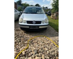 VW Polo Gebrauchtwagen