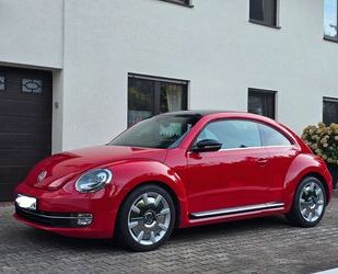 VW Beetle Gebrauchtwagen