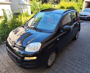 Fiat Panda Gebrauchtwagen