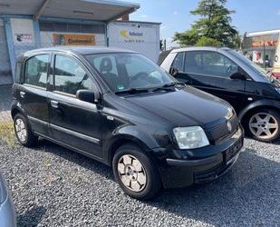 Fiat Panda Gebrauchtwagen