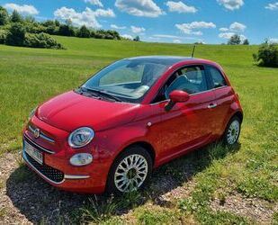 Fiat 500 Gebrauchtwagen