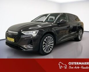 Audi Q8 e-tron Gebrauchtwagen