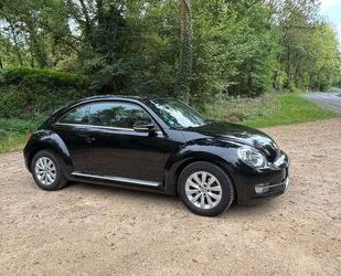 VW Beetle Gebrauchtwagen