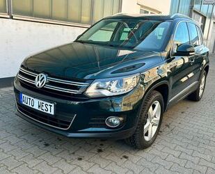 VW Tiguan Gebrauchtwagen