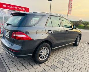Mercedes-Benz ML 350 Gebrauchtwagen