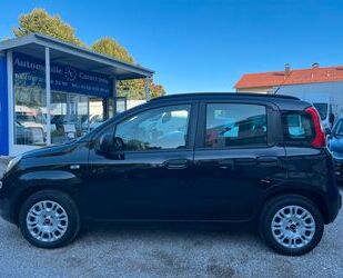 Fiat Panda Gebrauchtwagen
