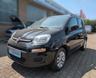 Fiat Panda Gebrauchtwagen