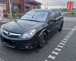 Opel Signum Gebrauchtwagen