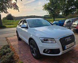 Audi Q5 Gebrauchtwagen