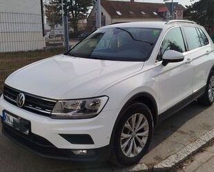 VW Tiguan Gebrauchtwagen