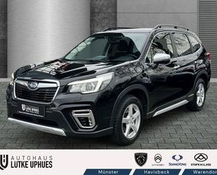 Subaru Forester Gebrauchtwagen