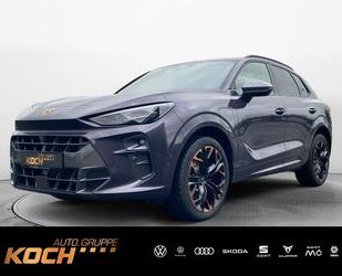 Cupra Terramar Gebrauchtwagen