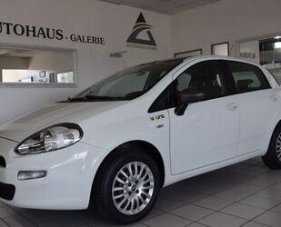 Fiat Punto Gebrauchtwagen