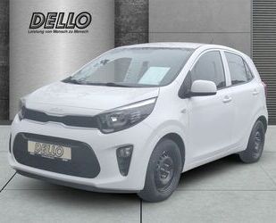 Kia Picanto Gebrauchtwagen