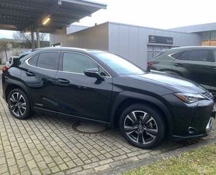 Lexus UX Gebrauchtwagen