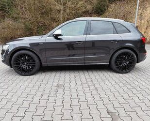Audi SQ5 Gebrauchtwagen
