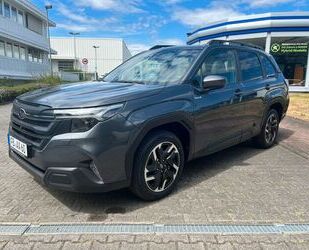 Subaru Forester Gebrauchtwagen