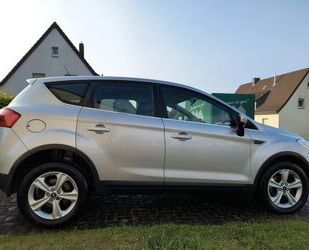 Ford Kuga Gebrauchtwagen
