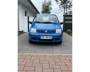 Fiat Panda Gebrauchtwagen