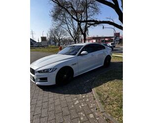 Jaguar XE Gebrauchtwagen