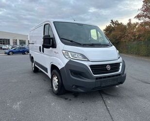 Fiat Ducato Gebrauchtwagen