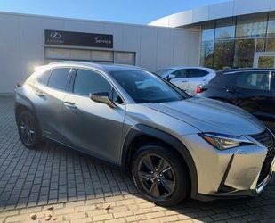 Lexus UX Gebrauchtwagen