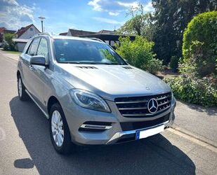 Mercedes-Benz ML 250 Gebrauchtwagen