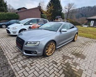 Audi S5 Gebrauchtwagen