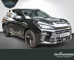 Cupra Terramar Gebrauchtwagen