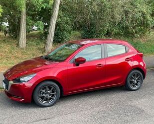 Mazda 2 Gebrauchtwagen
