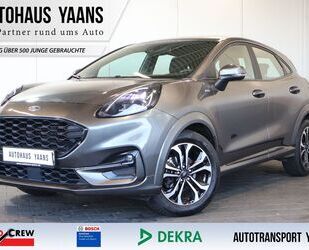 Ford Puma Gebrauchtwagen