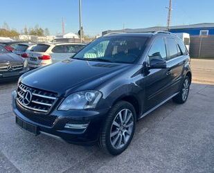 Mercedes-Benz ML 300 Gebrauchtwagen