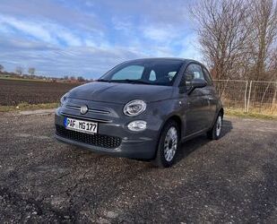 Fiat 500 Gebrauchtwagen