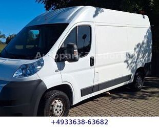 Fiat Ducato Gebrauchtwagen