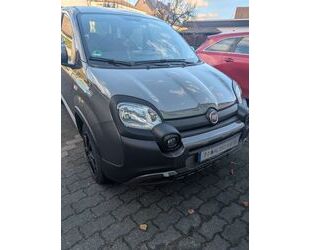 Fiat Panda Gebrauchtwagen
