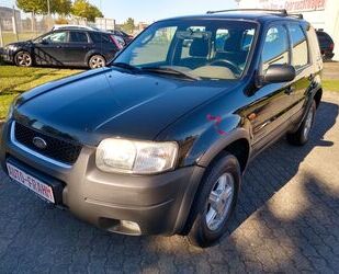 Ford Maverick Gebrauchtwagen